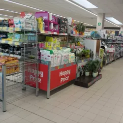 Local Markets and Festivals - Porto Viro