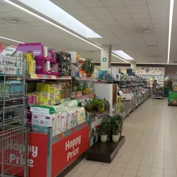 Local Markets and Festivals - Porto Viro