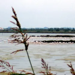 Parco delle Valli - Porto Viro