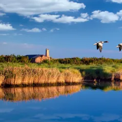 Po Delta Regional Park - Porto Viro