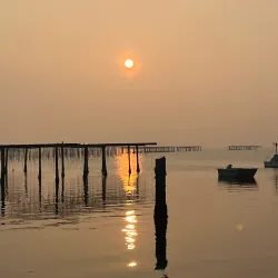 Po Delta Regional Park - Porto Viro