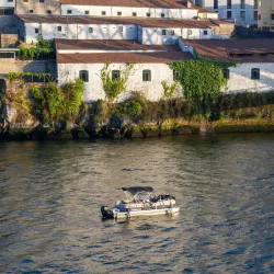 Po River Boat Tours - Porto Viro