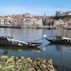Po River Boat Tours - Porto Viro