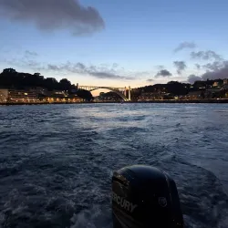 Po River Boat Tours - Porto Viro