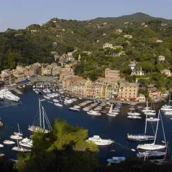 Portofino Marina - Portofino