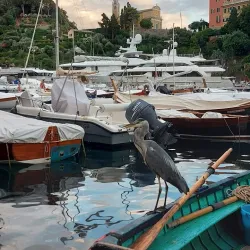Via Roma - Portofino