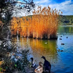Lago d'Averno - Pozzuoli