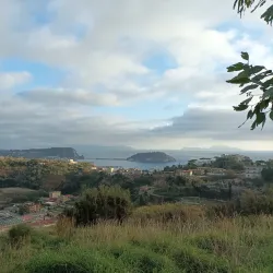 Solfatara Crater - Pozzuoli