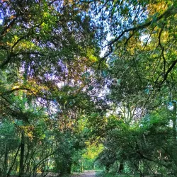 Parco delle Cascine di Tavola - Prato