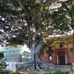 Lungomare Falcomatà - Reggio Di Calabria