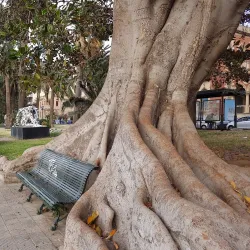 Villa Genoese Zerbi - Reggio Di Calabria