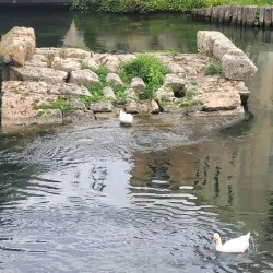 Ponte Romano (Roman Bridge) - Rieti