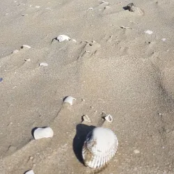 Rimini Beach - Rimini