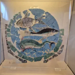 Rimini City Museum (Museo della Città) - Rimini