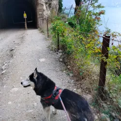 Sentiero della Ponale - Riva del Garda