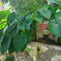 Giardino della Minerva - Salerno