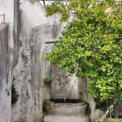 Giardino della Minerva - Salerno
