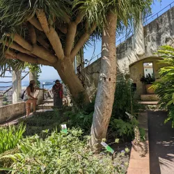 Giardino della Minerva - Salerno