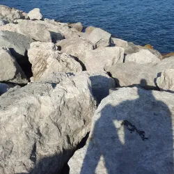 Piazza della Concordia - Salerno