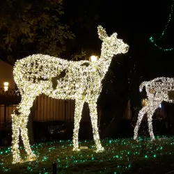 Teatro Verdi - Salerno