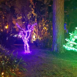 Villa Comunale di Salerno - Salerno