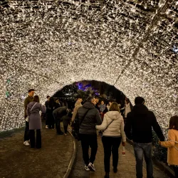 Villa Comunale di Salerno - Salerno