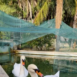 Giardini della Villa Ormond - Sanremo