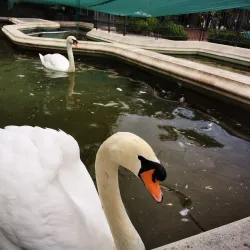 Giardini della Villa Ormond - Sanremo