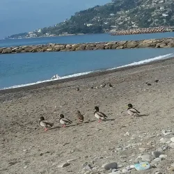 Sanremo Bicycle Path (Pista Ciclabile Sanremo) - Sanremo