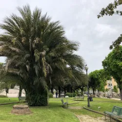 Villa Comunale Park - Santa Maria Capua Vetere