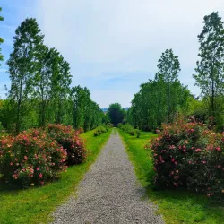 Villa Giacobazzi - Sassuolo