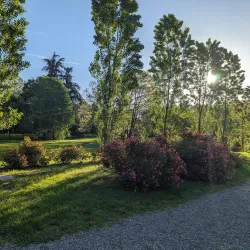 Villa Giacobazzi - Sassuolo