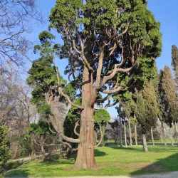 Villa Giacobazzi - Sassuolo
