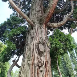 Villa Giacobazzi - Sassuolo