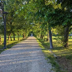 Villa Giacobazzi - Sassuolo