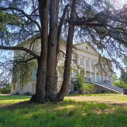 Villa Levi - Sassuolo