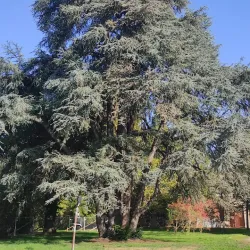 Villa Levi - Sassuolo