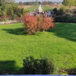 Villa Levi - Sassuolo