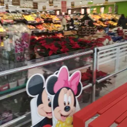 Mercato di Savigliano - Savigliano