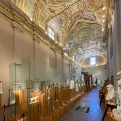 Museo Civico di Savigliano - Savigliano