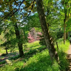 Parco della Rimembranza - Savigliano