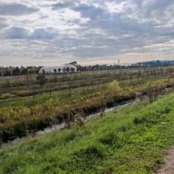 Parco della Pace - Schio