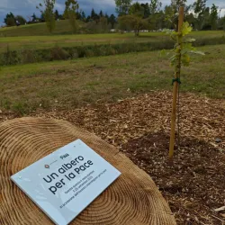Parco della Pace - Schio