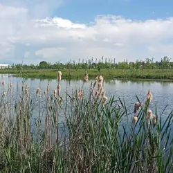 Parco della Pace - Schio