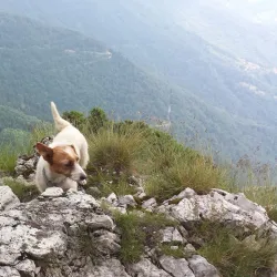 Sentiero delle 52 Gallerie - Schio