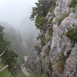 Sentiero delle 52 Gallerie - Schio