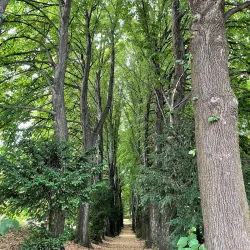 Villa Piovene - Schio