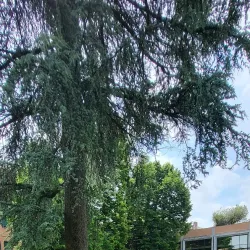 Biblioteca Civica di Seregno - Seregno