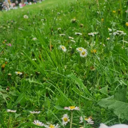 Parco di Seregno - Seregno