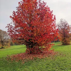 Parco di Seregno - Seregno